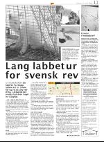 opp-20080417_000_00_00_011.pdf