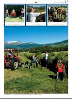 opp-20080731_000_00_00_017.pdf