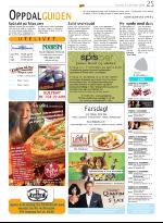 opp-20081106_000_00_00_025.pdf