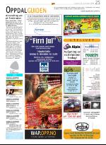 opp-20081120_000_00_00_025.pdf