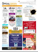 opp-20081127_000_00_00_025.pdf