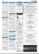 opp-20090129_000_00_00_018.pdf