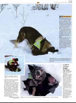 opp-20090212_000_00_00_019.pdf