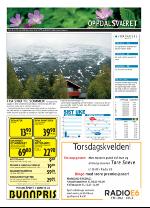 opp-20090528_000_00_00_028.pdf