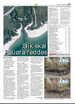 opp-20100107_000_00_00_013.pdf