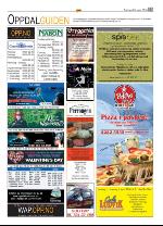 opp-20100325_000_00_00_045.pdf