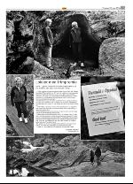 opp-20100520_000_00_00_023.pdf