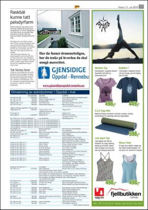 opp-20100611_000_00_00_011.pdf