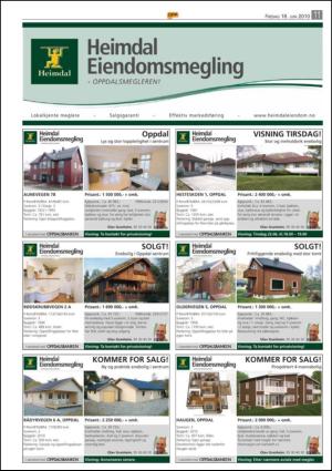 opp-20100618_000_00_00_011.pdf