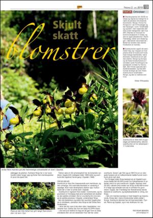 opp-20100702_000_00_00_019.pdf