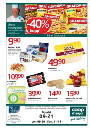 opp-20100813_000_00_00_015.pdf