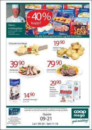 opp-20100917_000_00_00_015.pdf