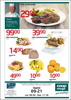 opp-20101015_000_00_00_015.pdf