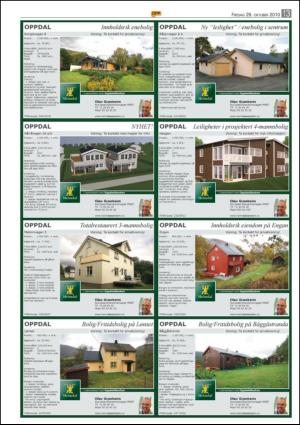 opp-20101029_000_00_00_013.pdf