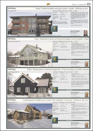 opp-20110211_000_00_00_015.pdf