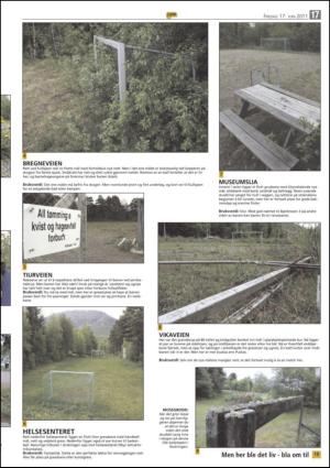 opp-20110617_000_00_00_017.pdf