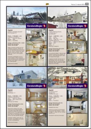 opp-20120203_000_00_00_011.pdf