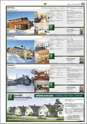 opp-20120210_000_00_00_011.pdf