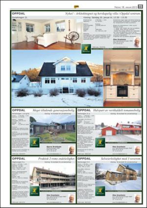 opp-20130118_000_00_00_011.pdf