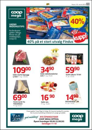 opp-20130118_000_00_00_023.pdf