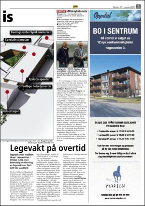 opp-20130125_000_00_00_005.pdf