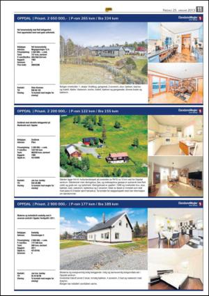 opp-20130125_000_00_00_011.pdf