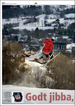 opp-20130125_000_00_00_020.pdf