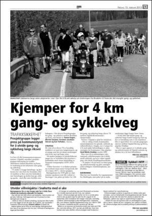 opp-20130215_000_00_00_013.pdf