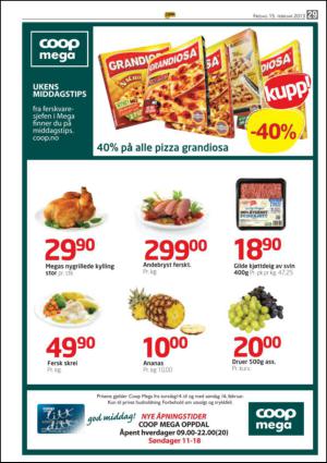 opp-20130215_000_00_00_029.pdf