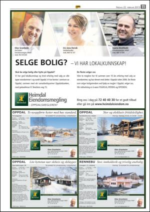 opp-20130222_000_00_00_011.pdf