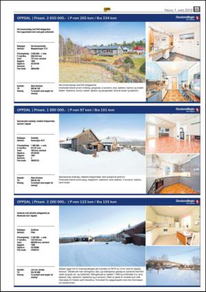 opp-20130301_000_00_00_011.pdf