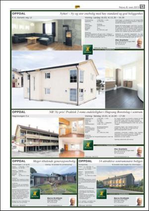 opp-20130308_000_00_00_013.pdf