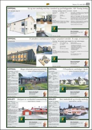 opp-20130315_000_00_00_013.pdf