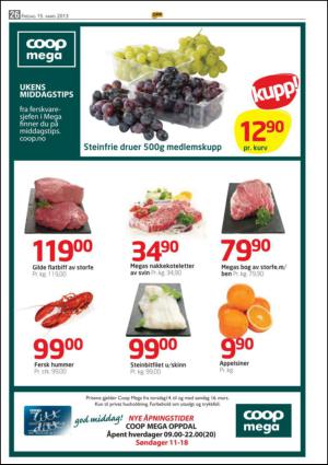 opp-20130315_000_00_00_026.pdf