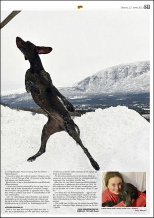 opp-20130327_000_00_00_021.pdf