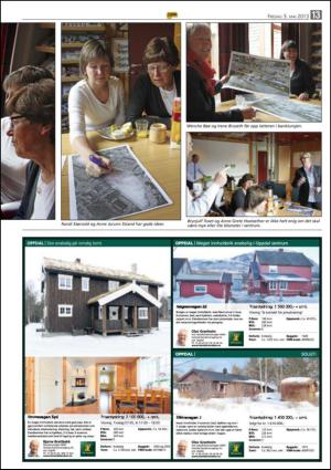 opp-20130503_000_00_00_013.pdf