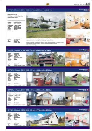 opp-20130531_000_00_00_009.pdf