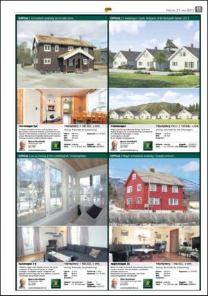 opp-20130531_000_00_00_011.pdf