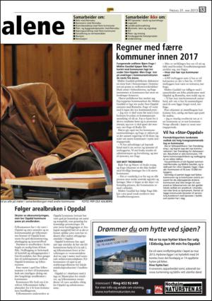 opp-20130531_000_00_00_013.pdf