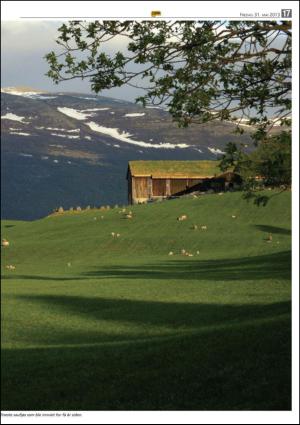 opp-20130531_000_00_00_017.pdf