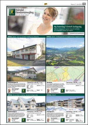 opp-20130607_000_00_00_011.pdf