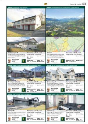 opp-20130614_000_00_00_011.pdf