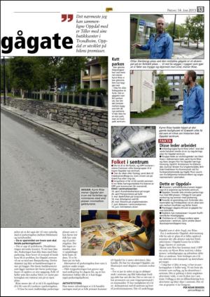 opp-20130614_000_00_00_013.pdf