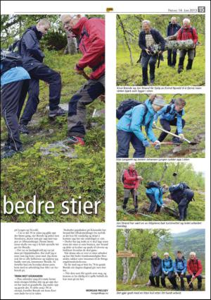 opp-20130614_000_00_00_015.pdf