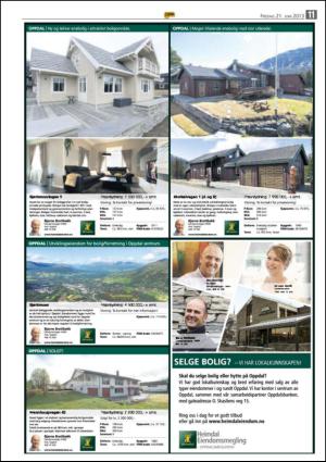 opp-20130621_000_00_00_011.pdf