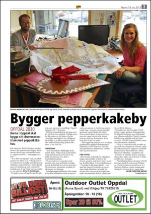 opp-20130719_000_00_00_003.pdf