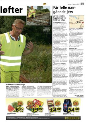 opp-20130802_000_00_00_005.pdf