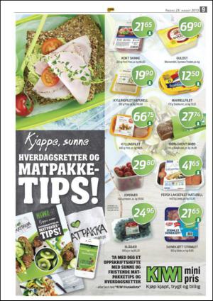 opp-20130823_000_00_00_009.pdf