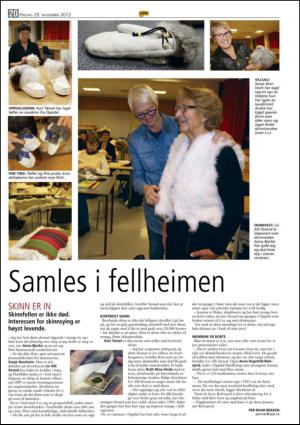 opp-20131129_000_00_00_020.pdf