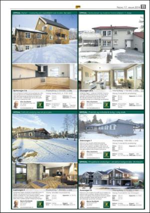 opp-20140117_000_00_00_011.pdf